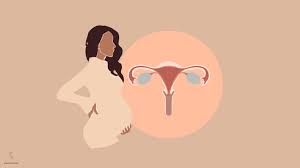 téléchargement (5)